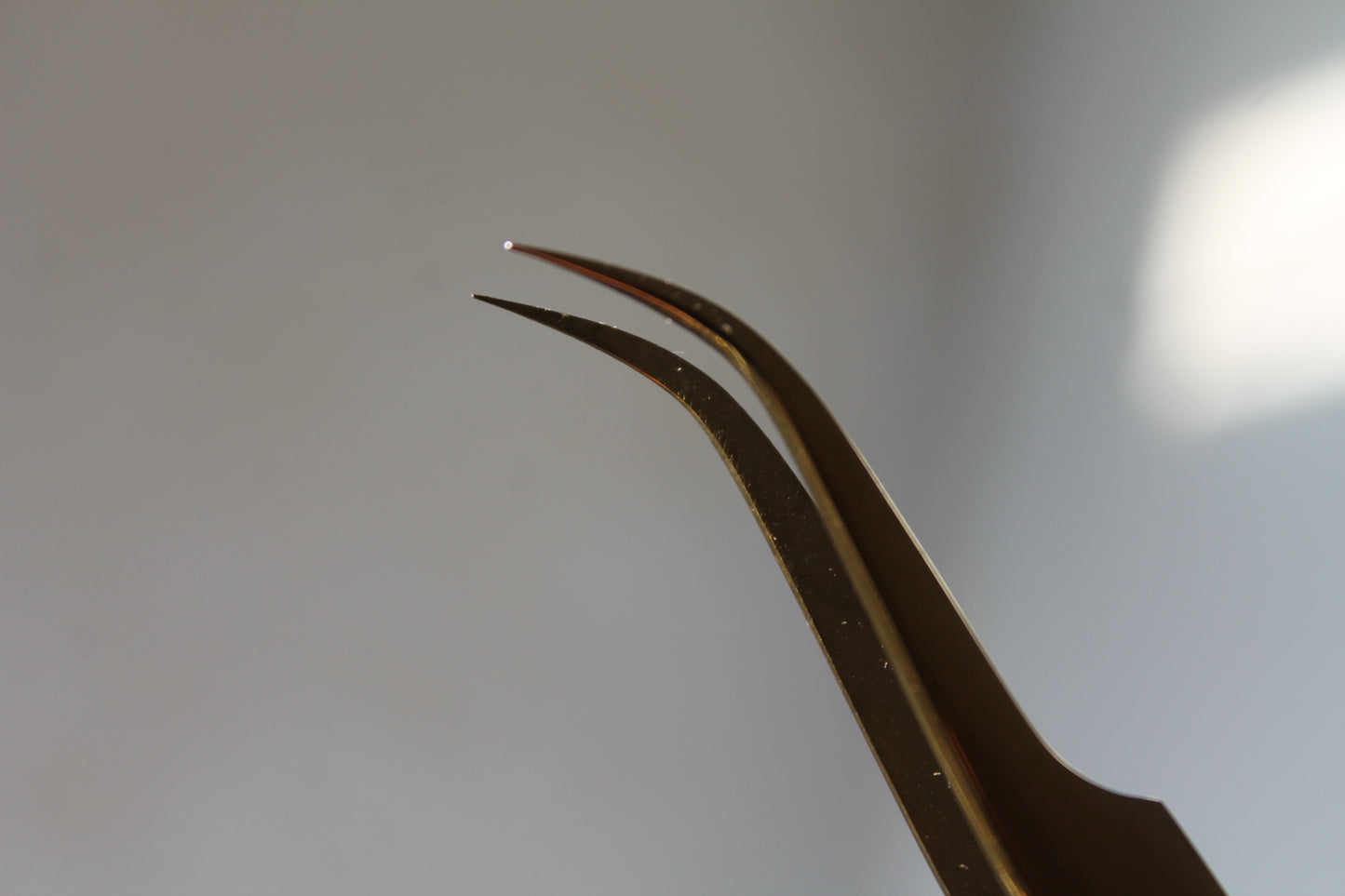 The 'Hazel' Curved Eyelash Tweezer- Gold